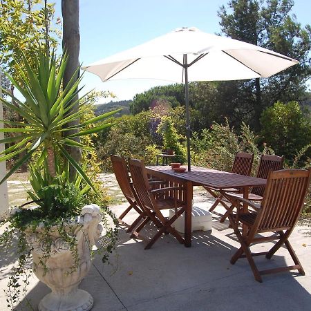 A Perfect Villa With Pool Terrace And Garden Alcobaça Exterior foto