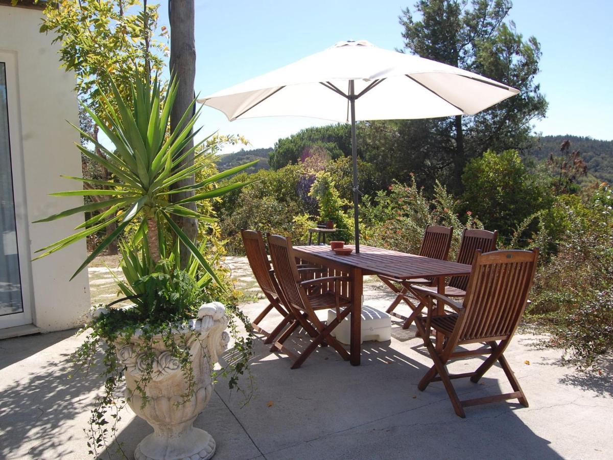 A Perfect Villa With Pool Terrace And Garden Alcobaça Exterior foto