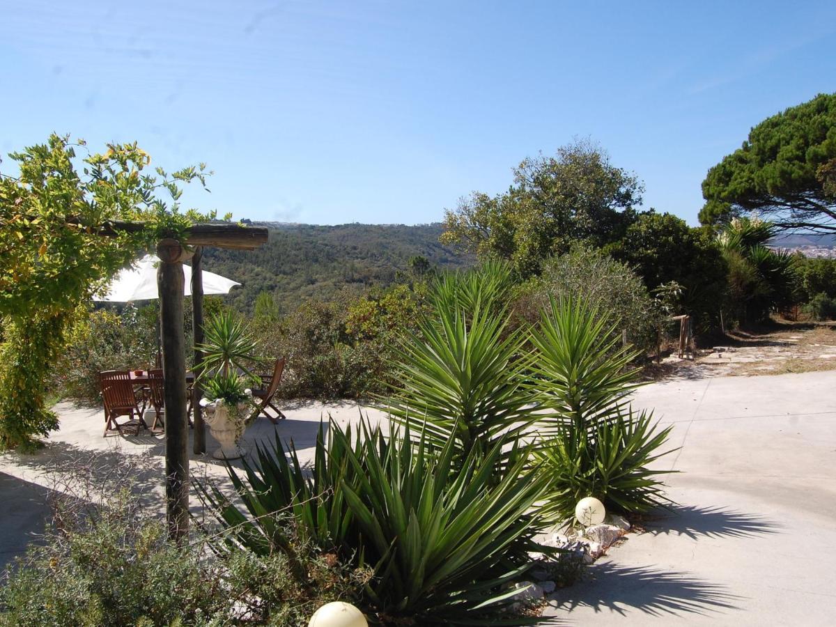 A Perfect Villa With Pool Terrace And Garden Alcobaça Exterior foto